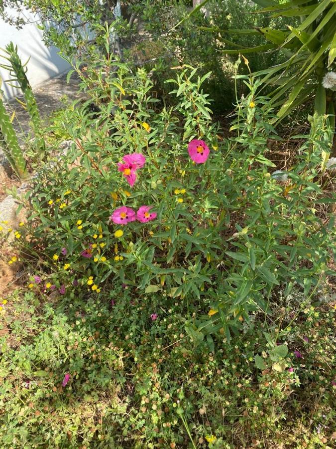 Casa Gianre Guest House โมโนโปลี ภายนอก รูปภาพ